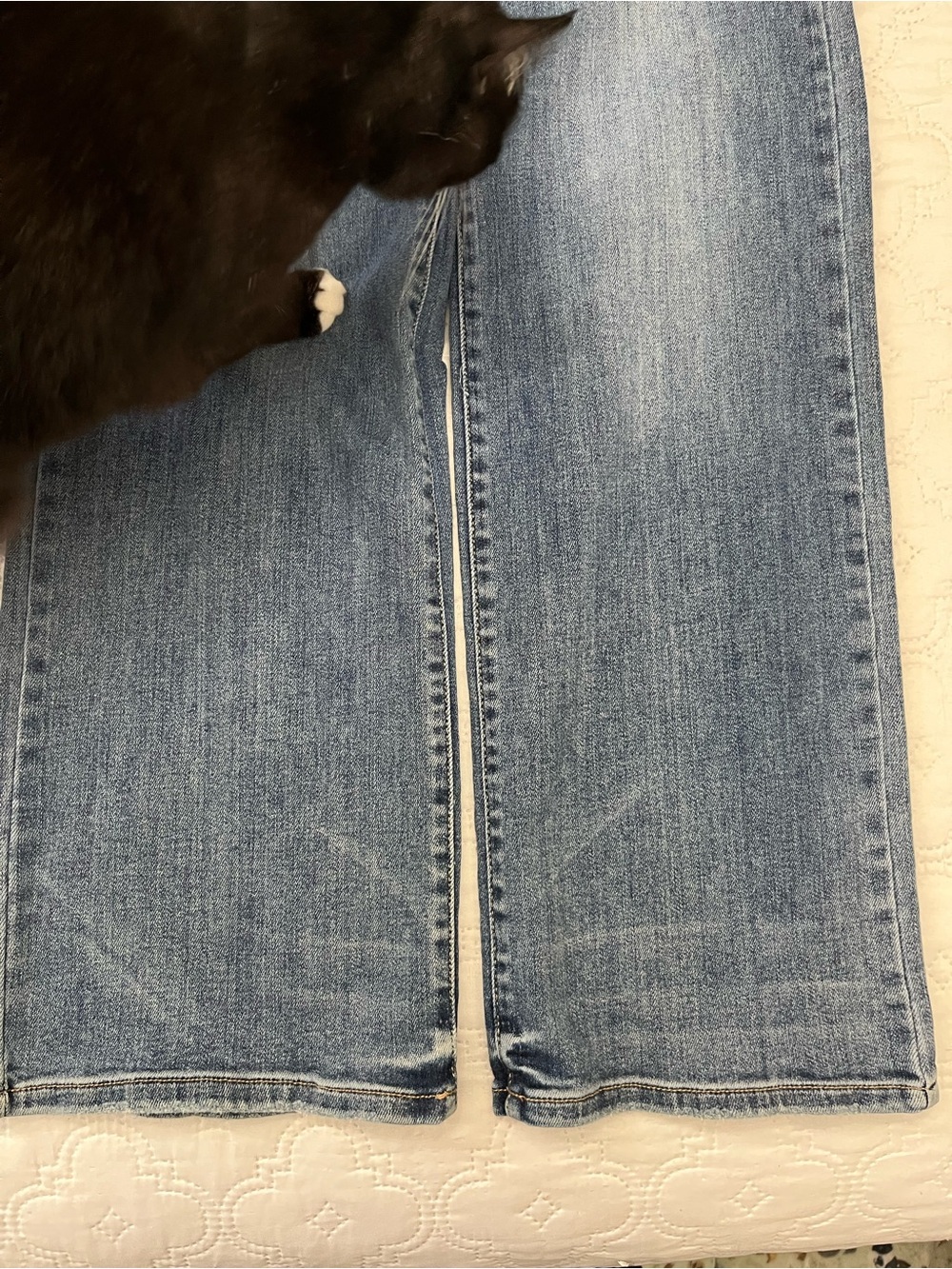 Judy Blue Los Angeles Wide Leg Jeans Size 9/29 Medium Wash EUC - Picture 15 of 16